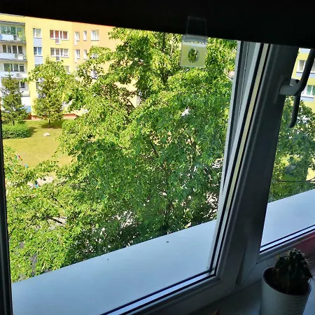 Poza Zgielkiem Miasta, A Jednak Wszystko W Zasiegu Bydgoszcz Exterior photo